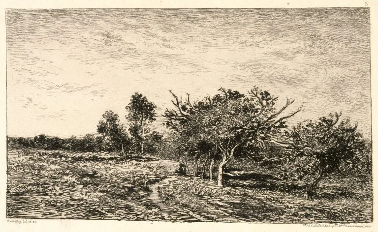Apple Trees at Auvers, by Charles François Daubigny, unspecified, 1889