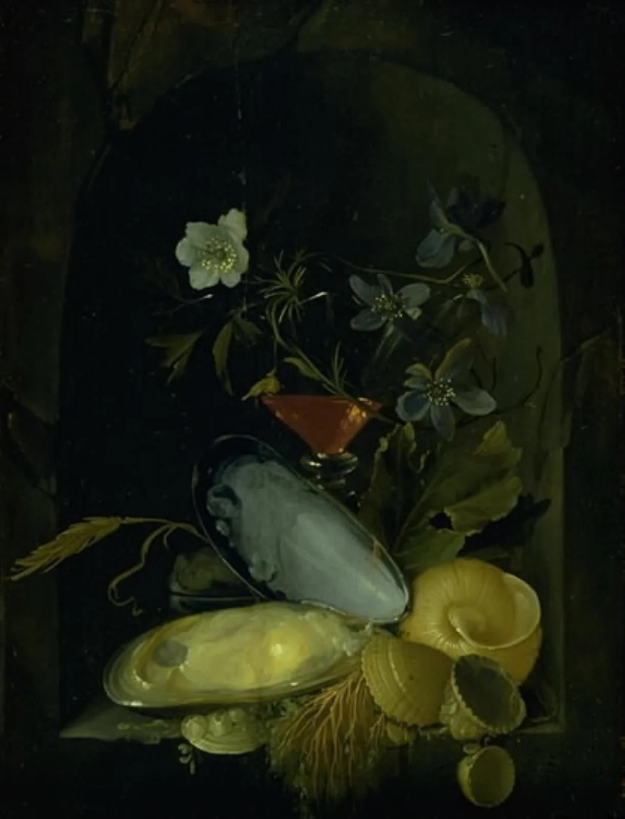 Still Life with Cockleshells and Blue Anemones, by Unknown, unspecified, 1650