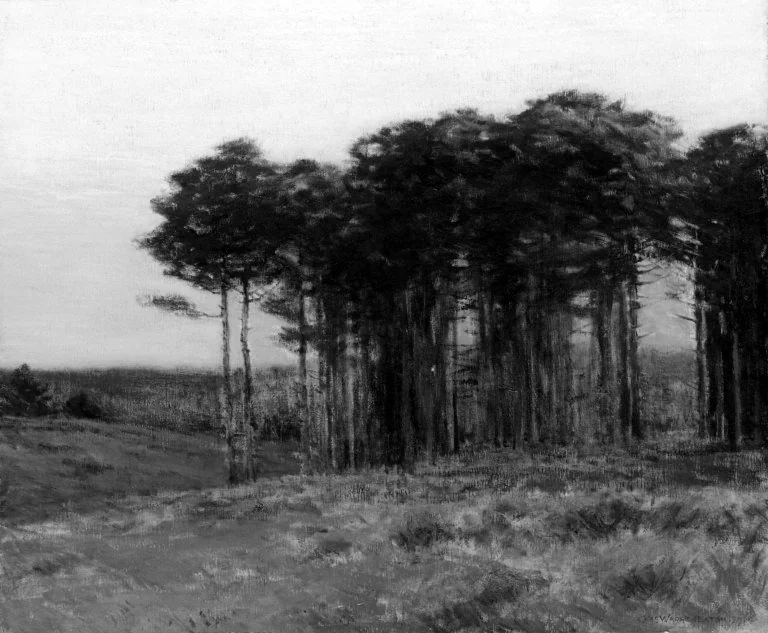 Connecticut Pines, by Charles Warren Eaton, oil, 1904