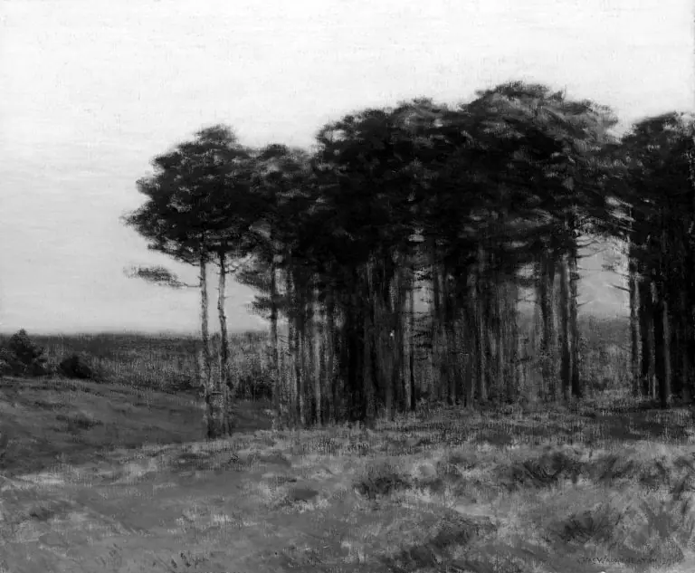 Connecticut Pines