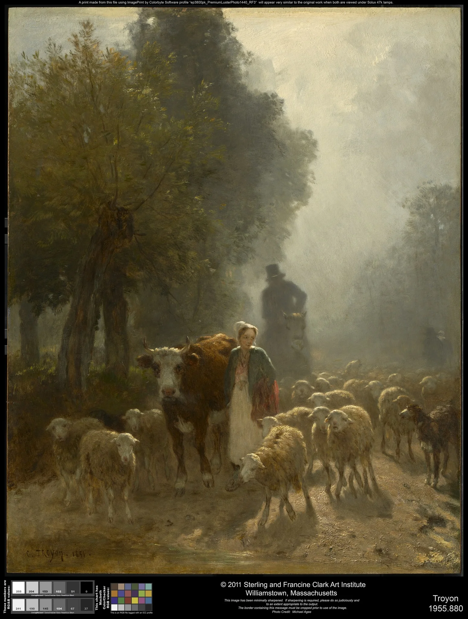Going to Market on a Misty Morning