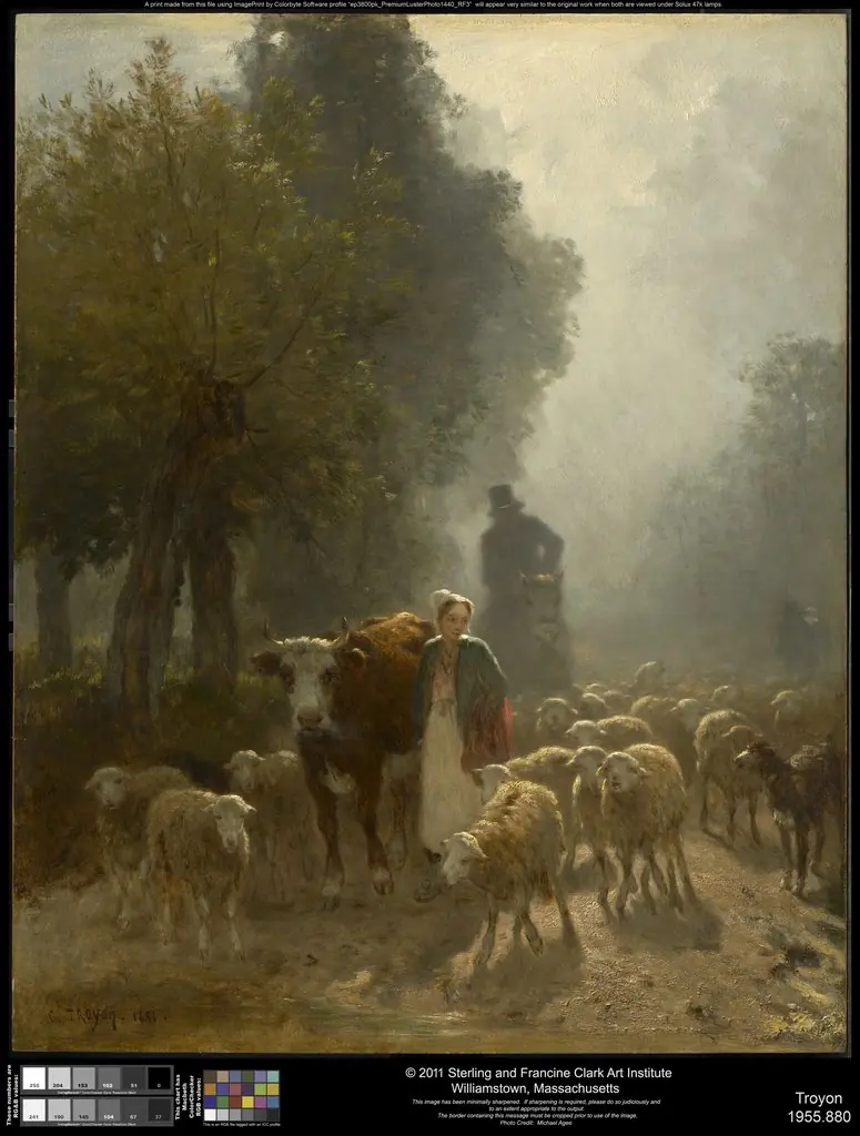 Going to Market on a Misty Morning
