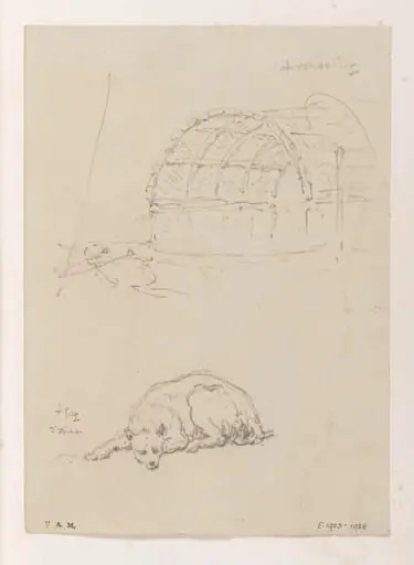 The awning of a Tanka boat, and a reclining dog