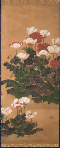 芥子図|Poppies