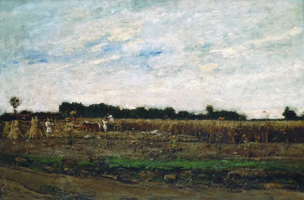 Corn Field