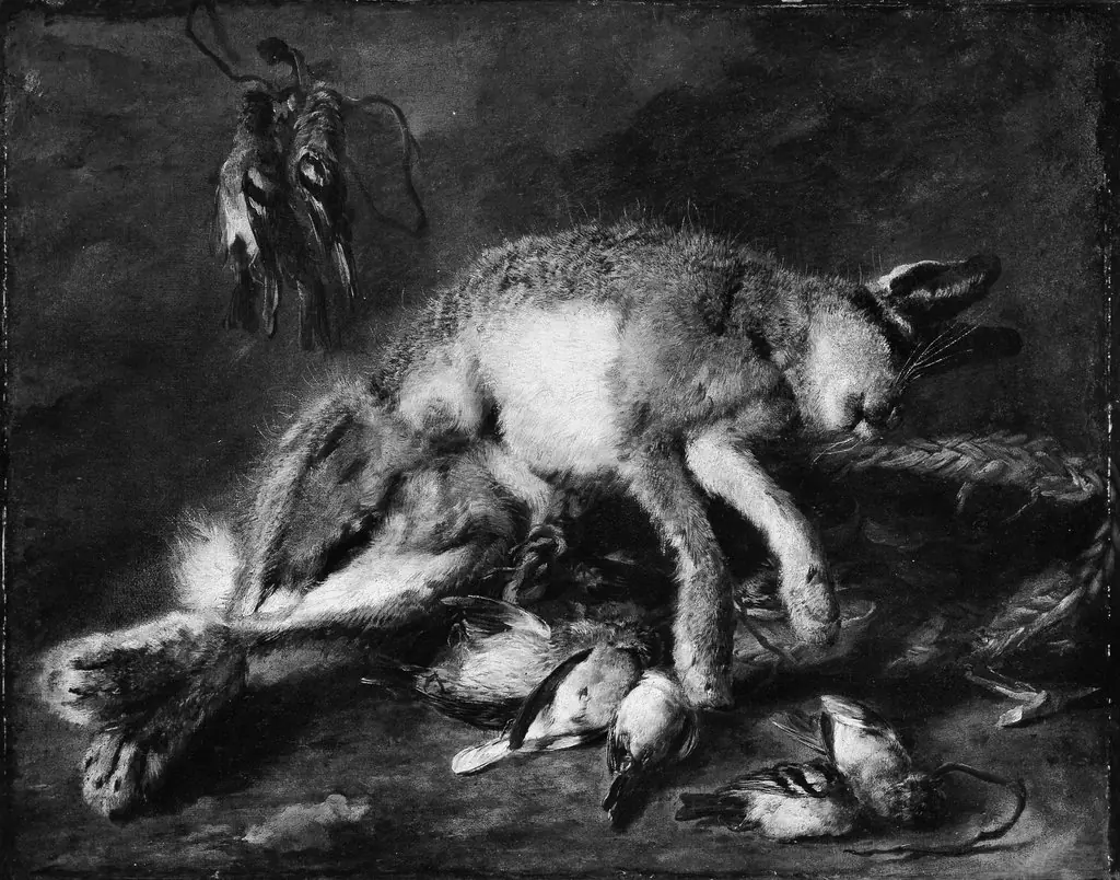 A Hare and Birds