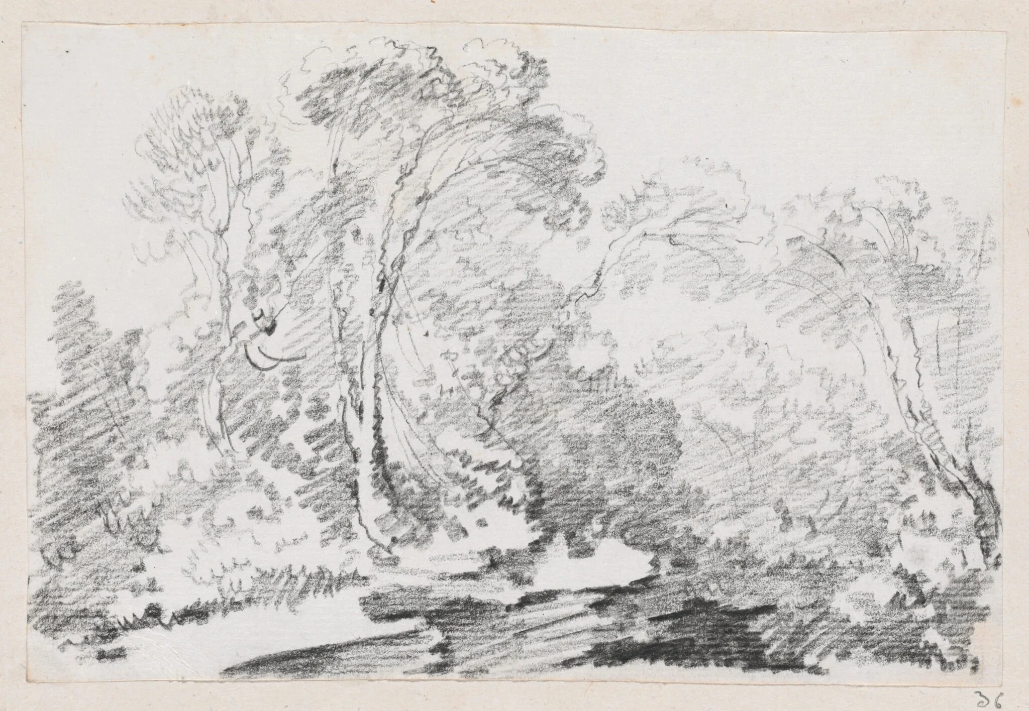 Trees
