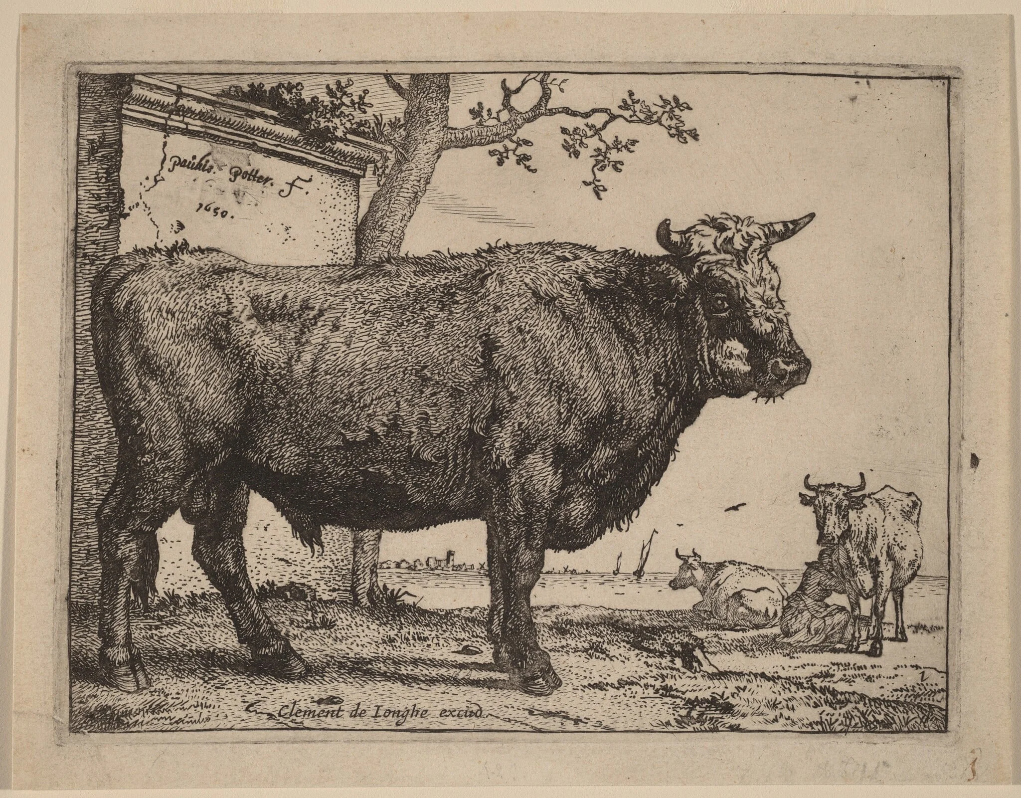 Bull, by Paulus Potter, ink, 1650