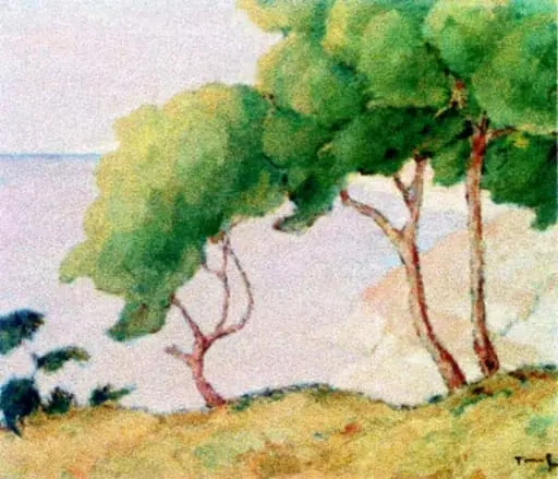 Margine de crâng (Balcic)