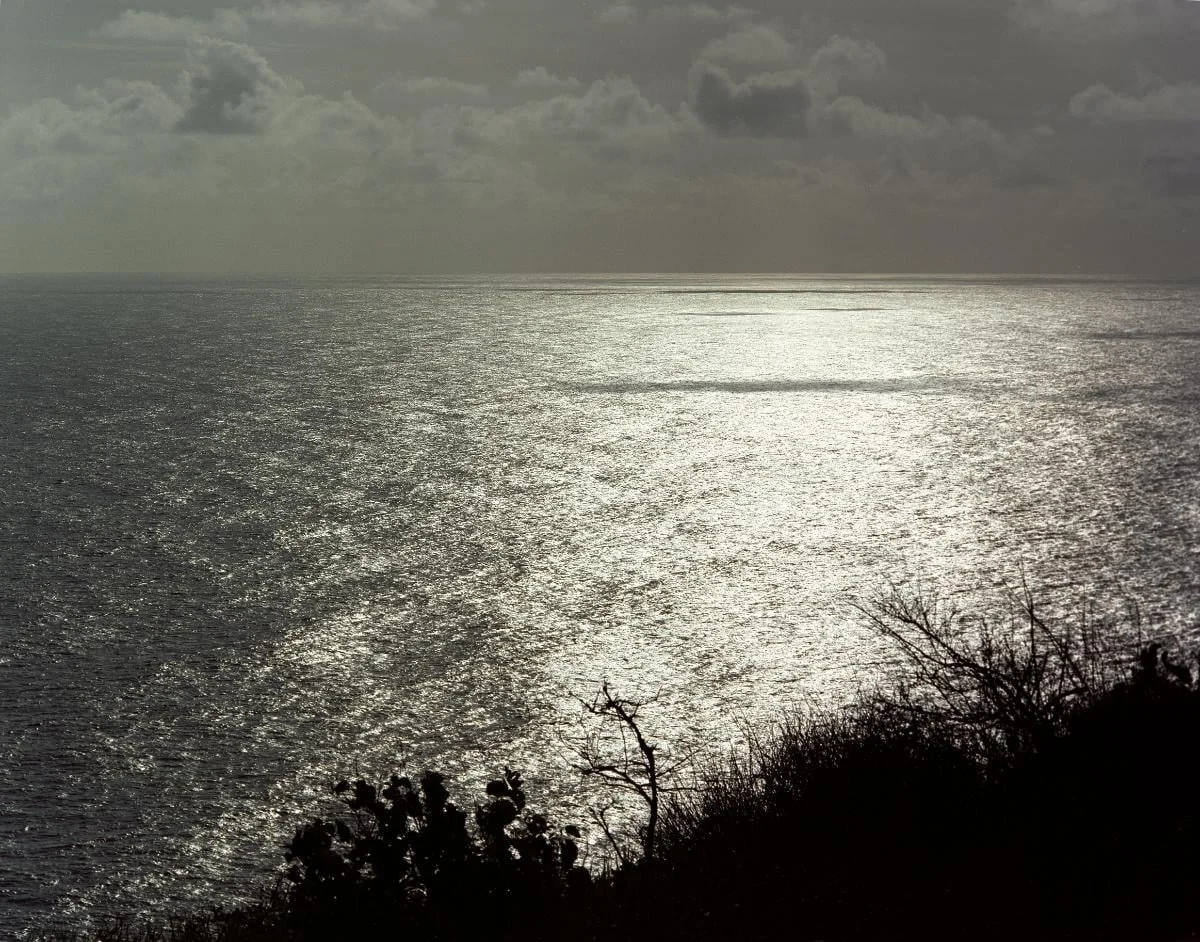 Άτιτλο, by MARIA MAVROPOULOU, 2012
