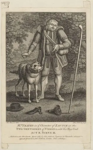 H Beard Print Collection