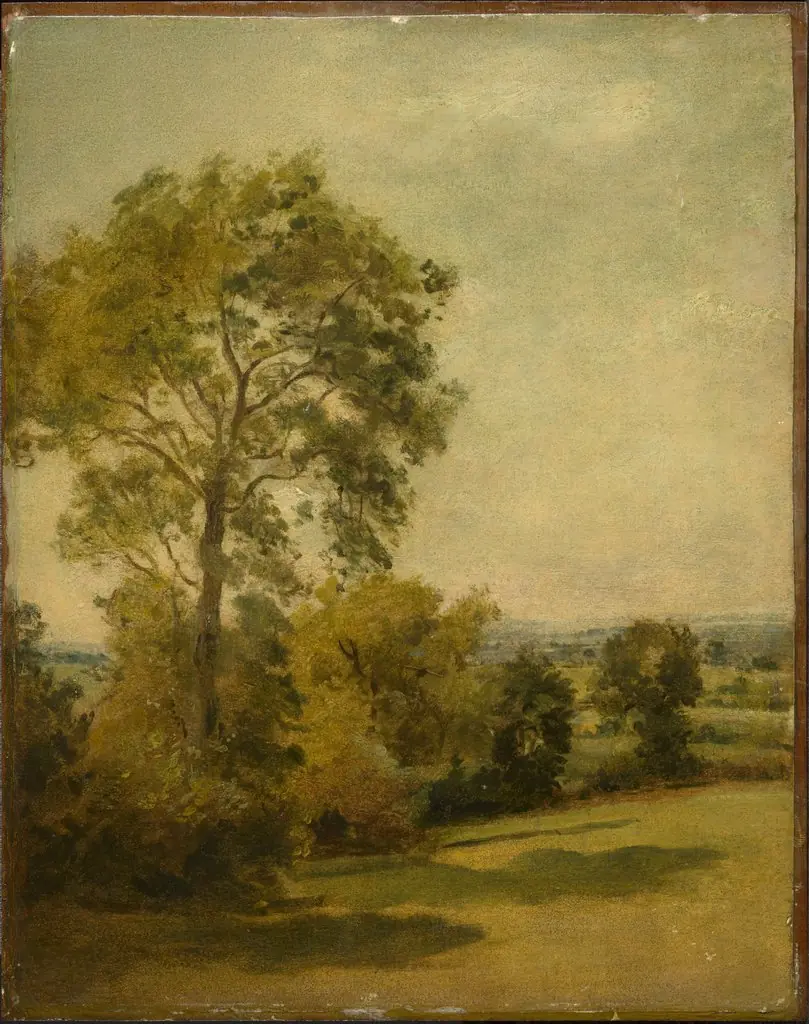 Tree in a Landsdcape