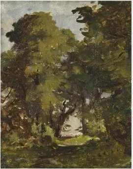 A Clearing amongst Trees