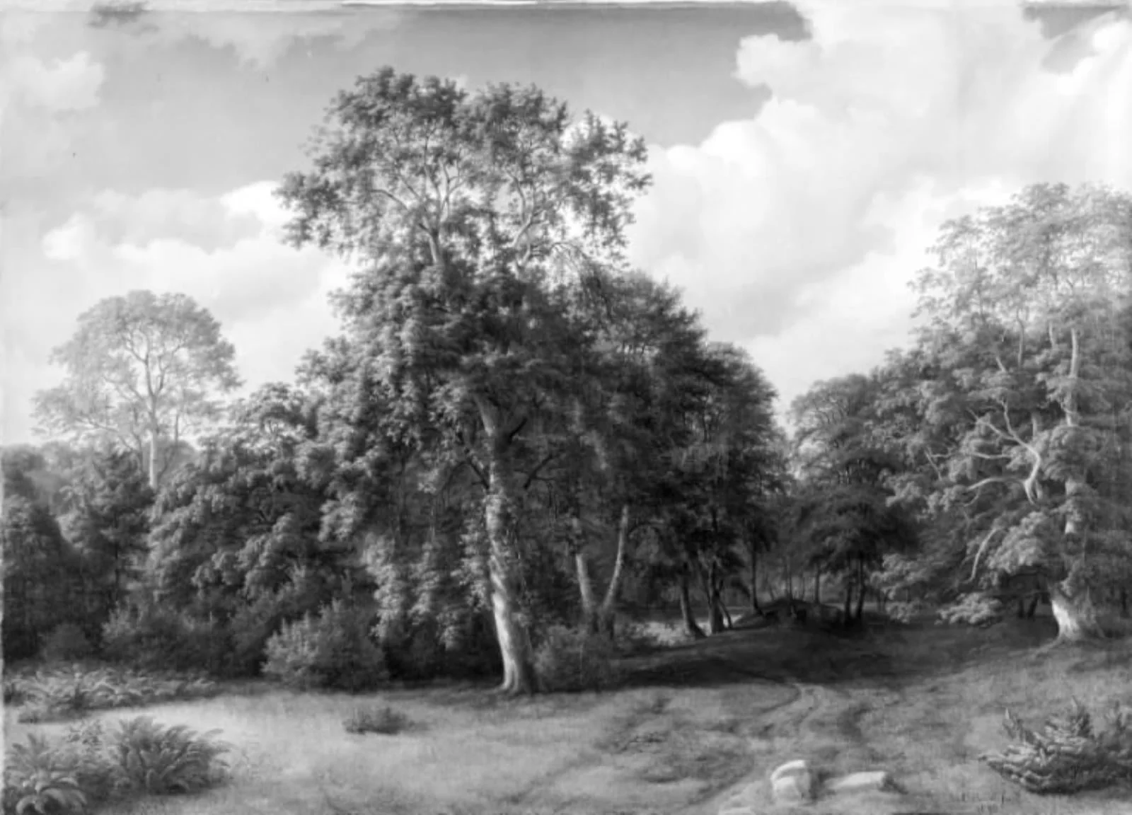 Forest Scenery from Præstevangen near Frederiksborg, by Unknown, 1846