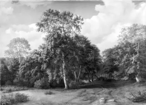 Forest Scenery from Præstevangen near Frederiksborg
