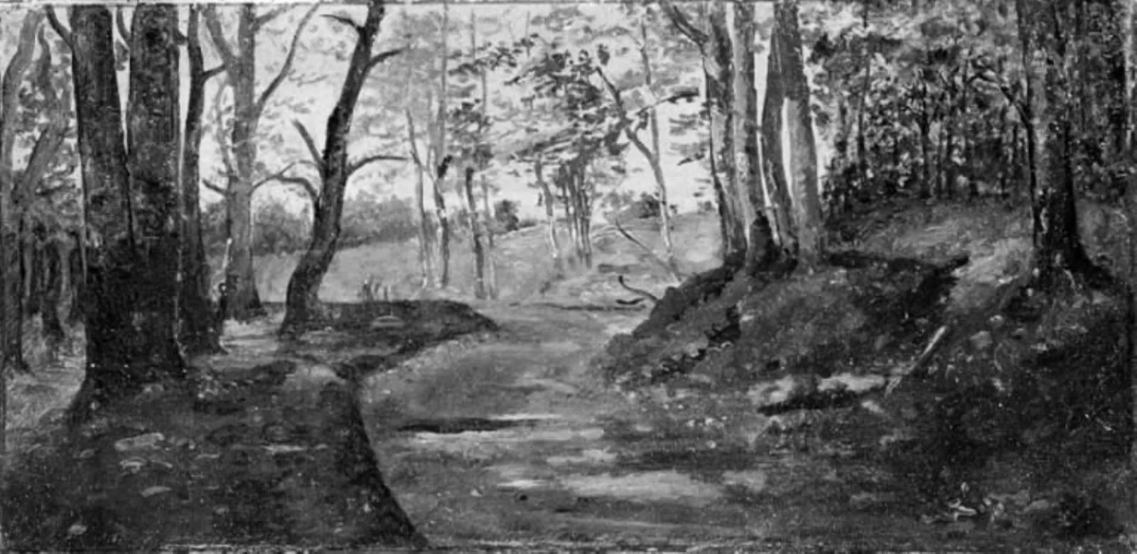 A Path through a Wood
