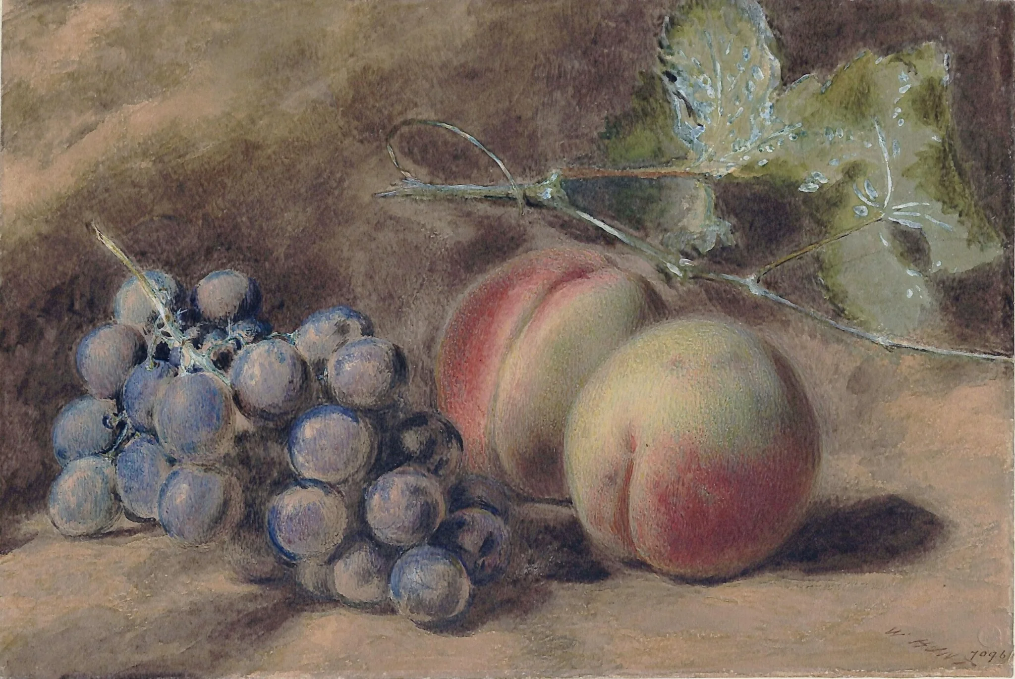 Grapes and Peaches