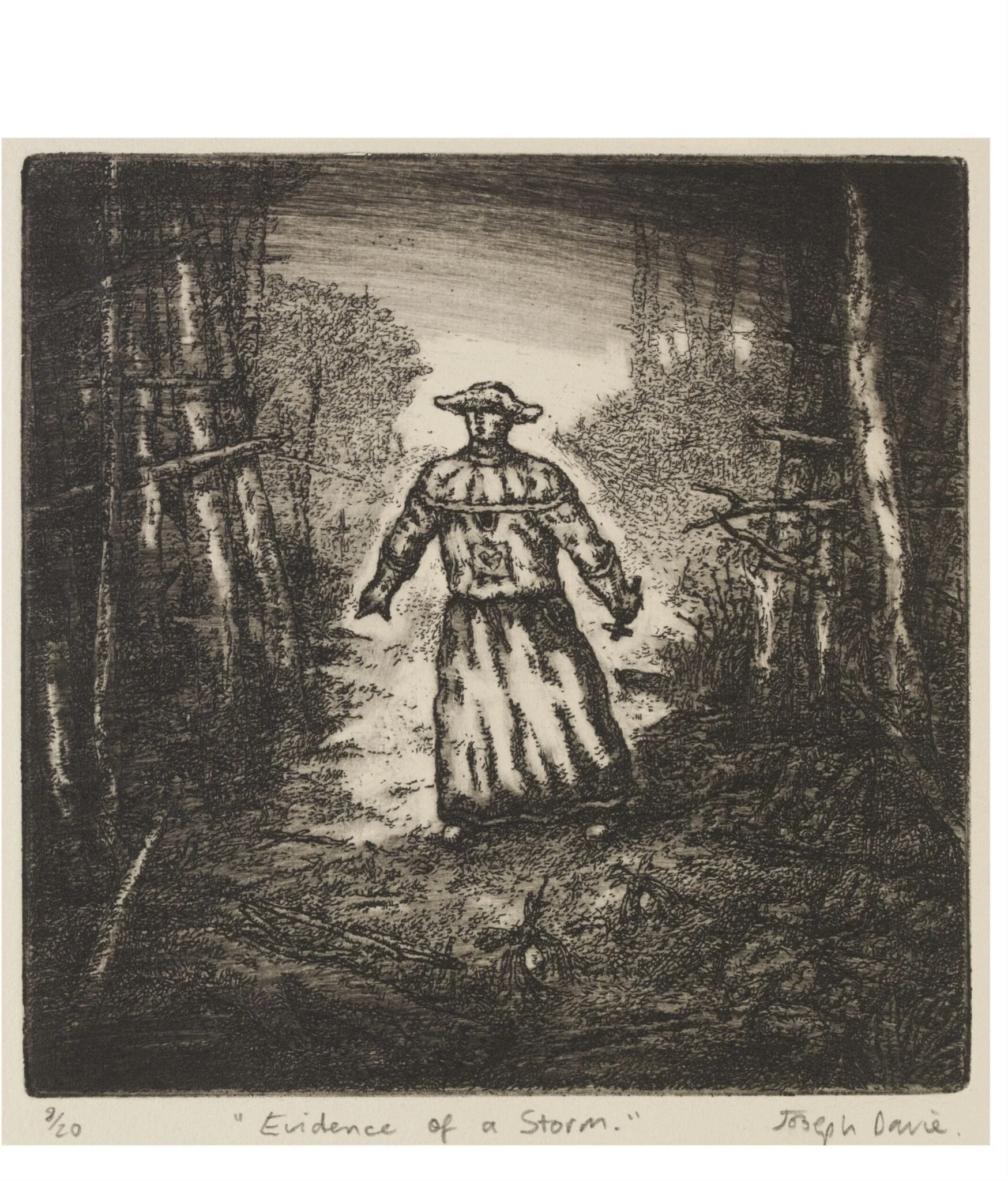 Evidence of a Storm, by Joseph Davie, 1992