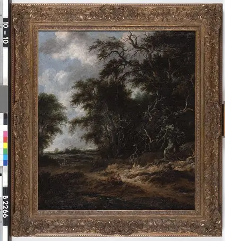 Wooded landscape