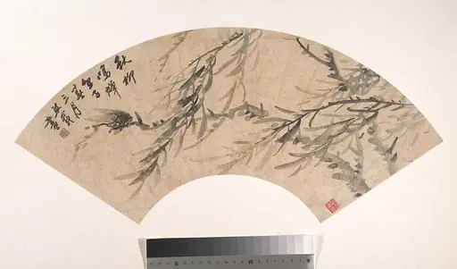 清  吳熙載  蟬柳  扇面|Cicada