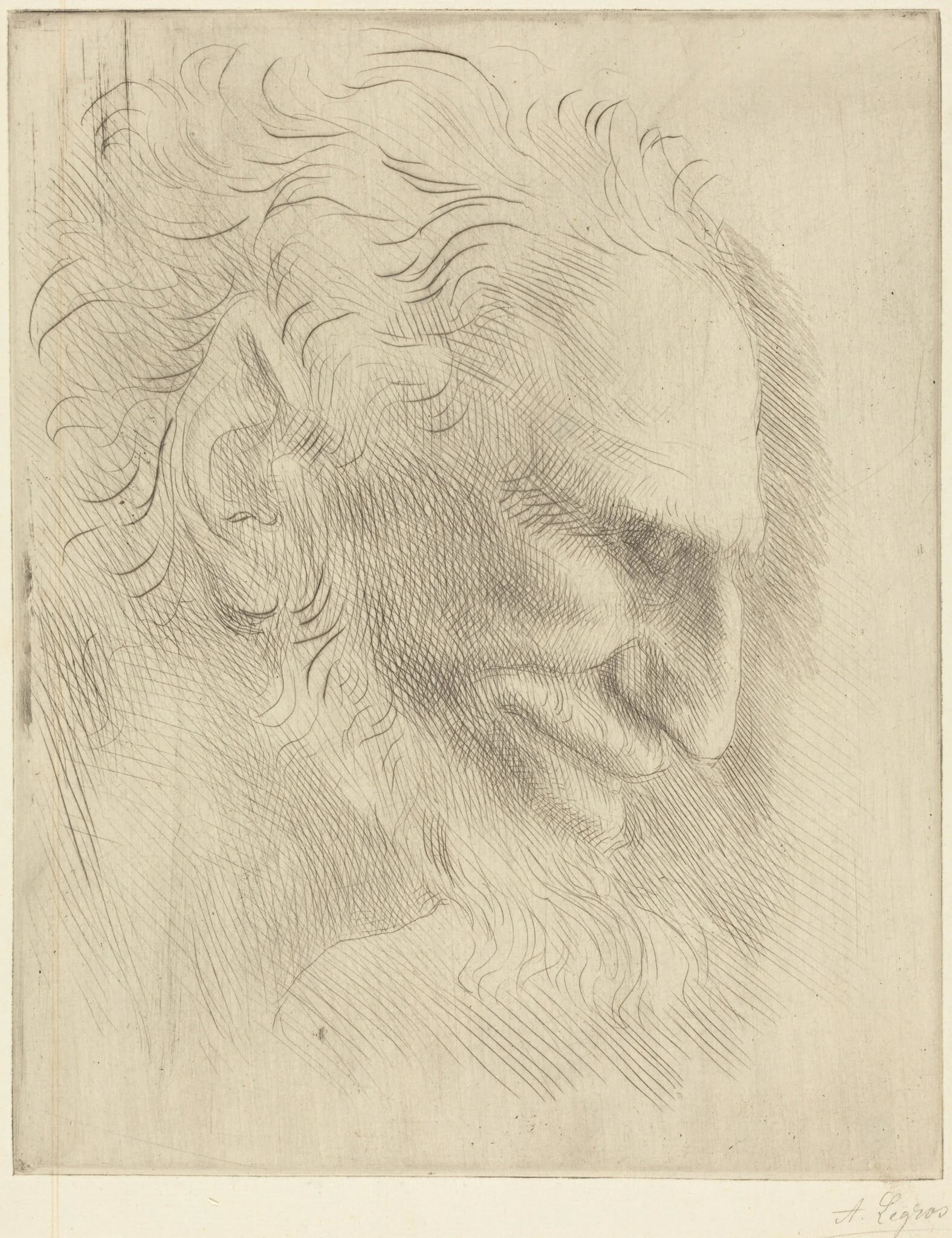 Study for the Head of a Man (Etude de tete d'homme), by Alphonse Legros, ink, 1874
