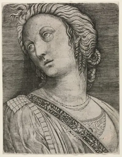 Bust of a Woman
