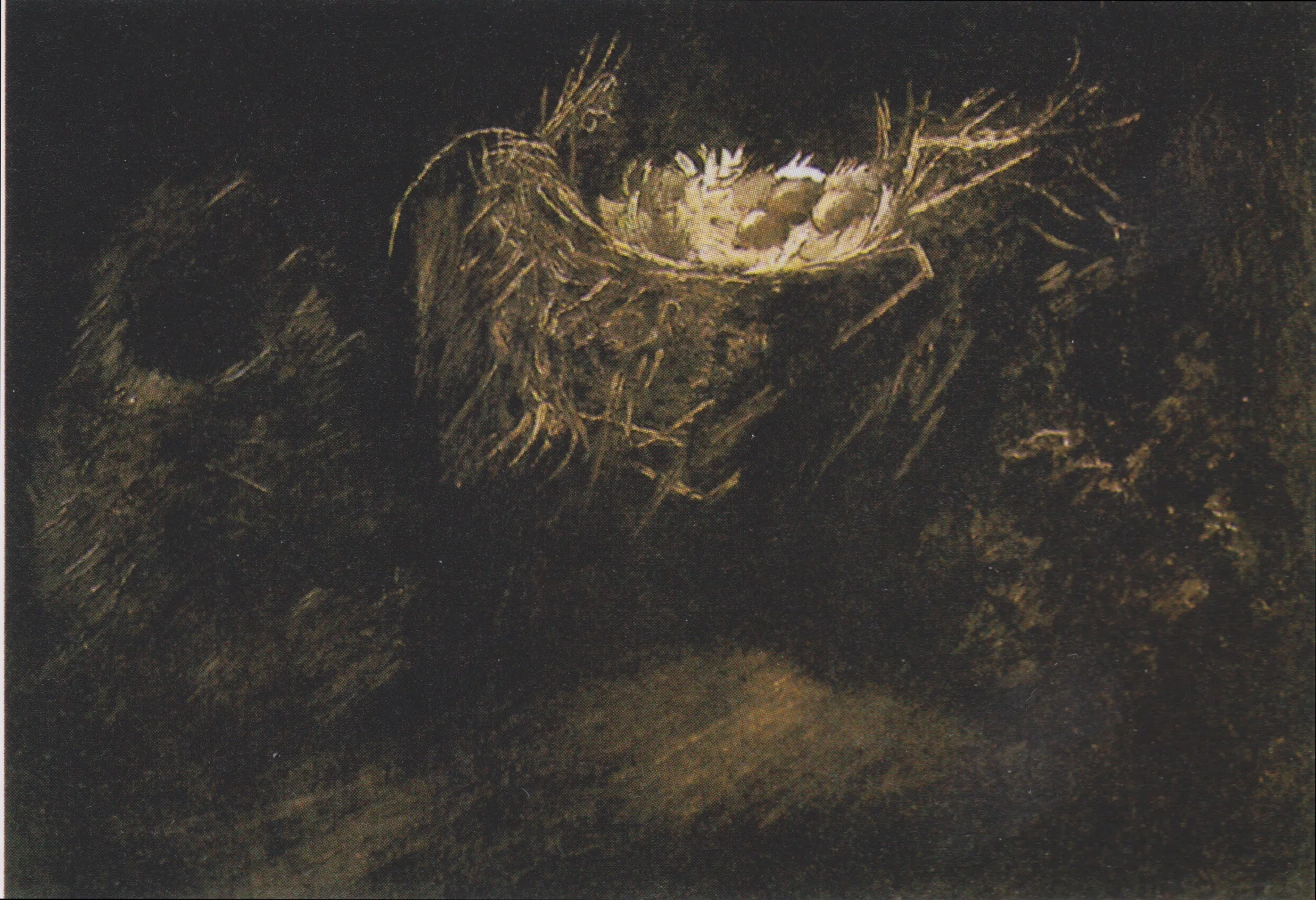 Still Life with Three Birds' Nests, by Vincent van Gogh, oil, 1893