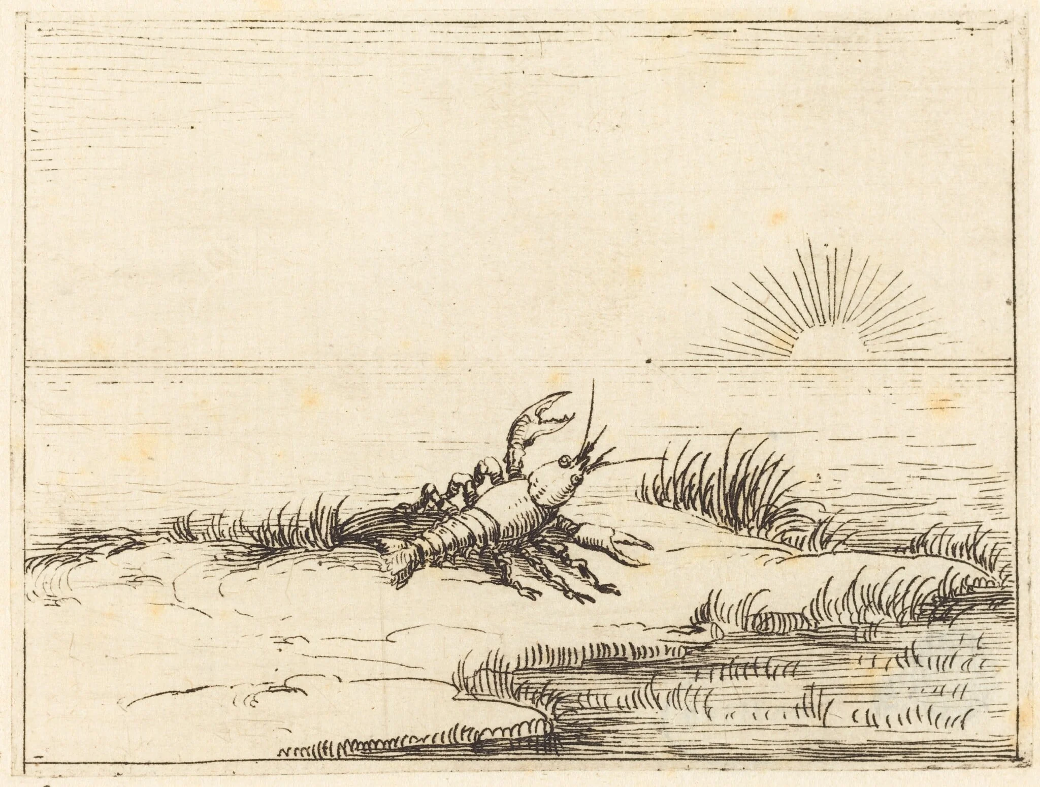 Crayfish Looking at the Sun, by Jacques Callot, ink, 1628