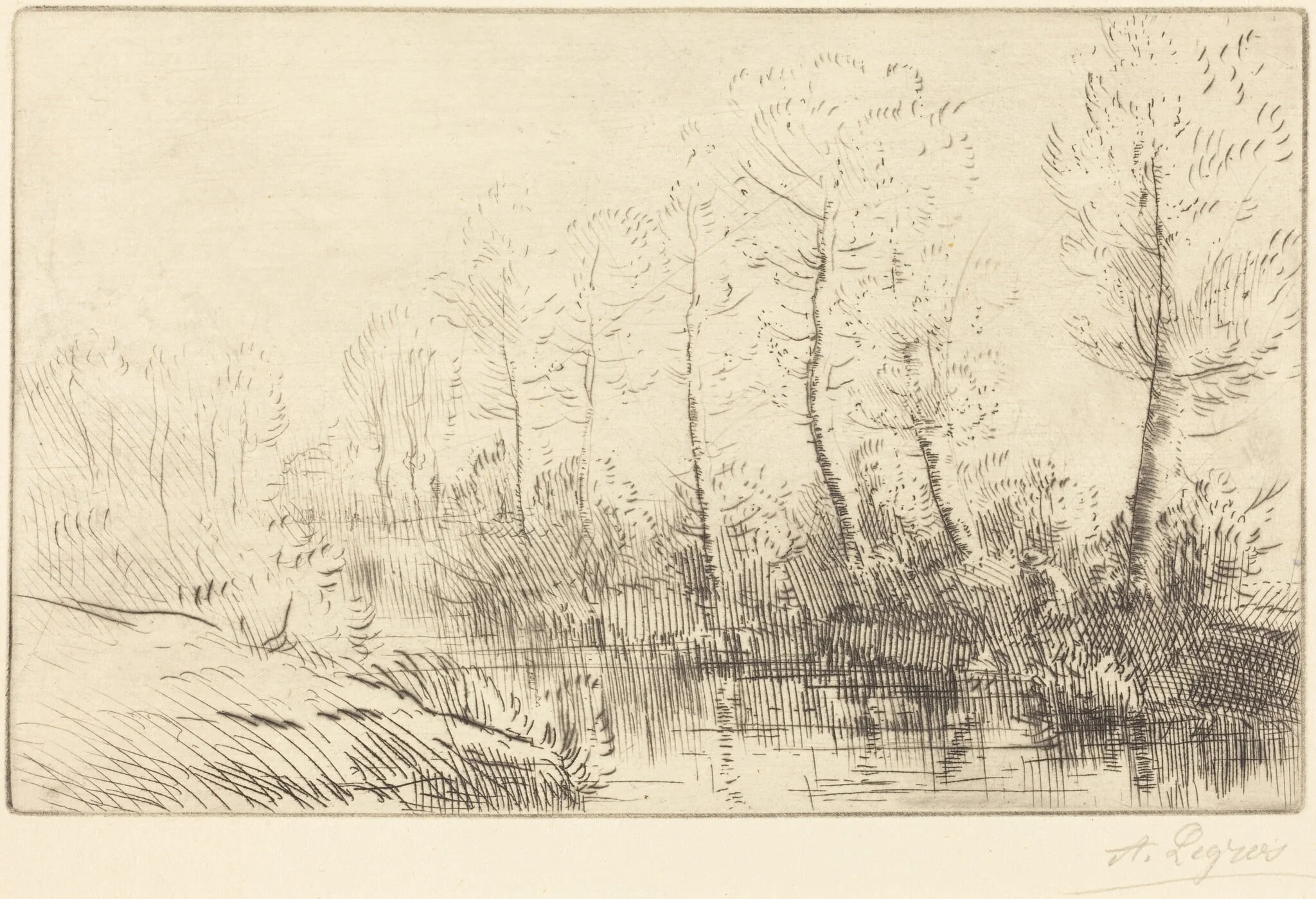 Birch Trees: Water's Edge Seen in Morning Light (Les bouleaux: Bord de l'eau, effet du matin, by Alphonse Legros, ink, 1874
