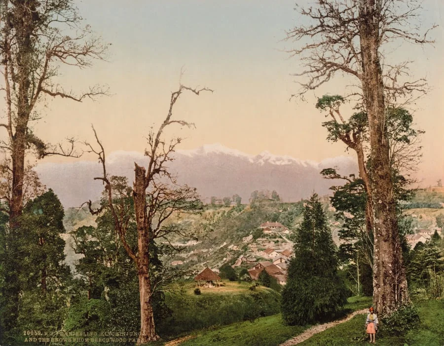 Darjeeling. Kinchinjunga and the Snows from Beechwood Park, by Photoglob Co., 1890
