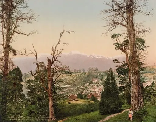 Darjeeling. Kinchinjunga and the Snows from Beechwood Park