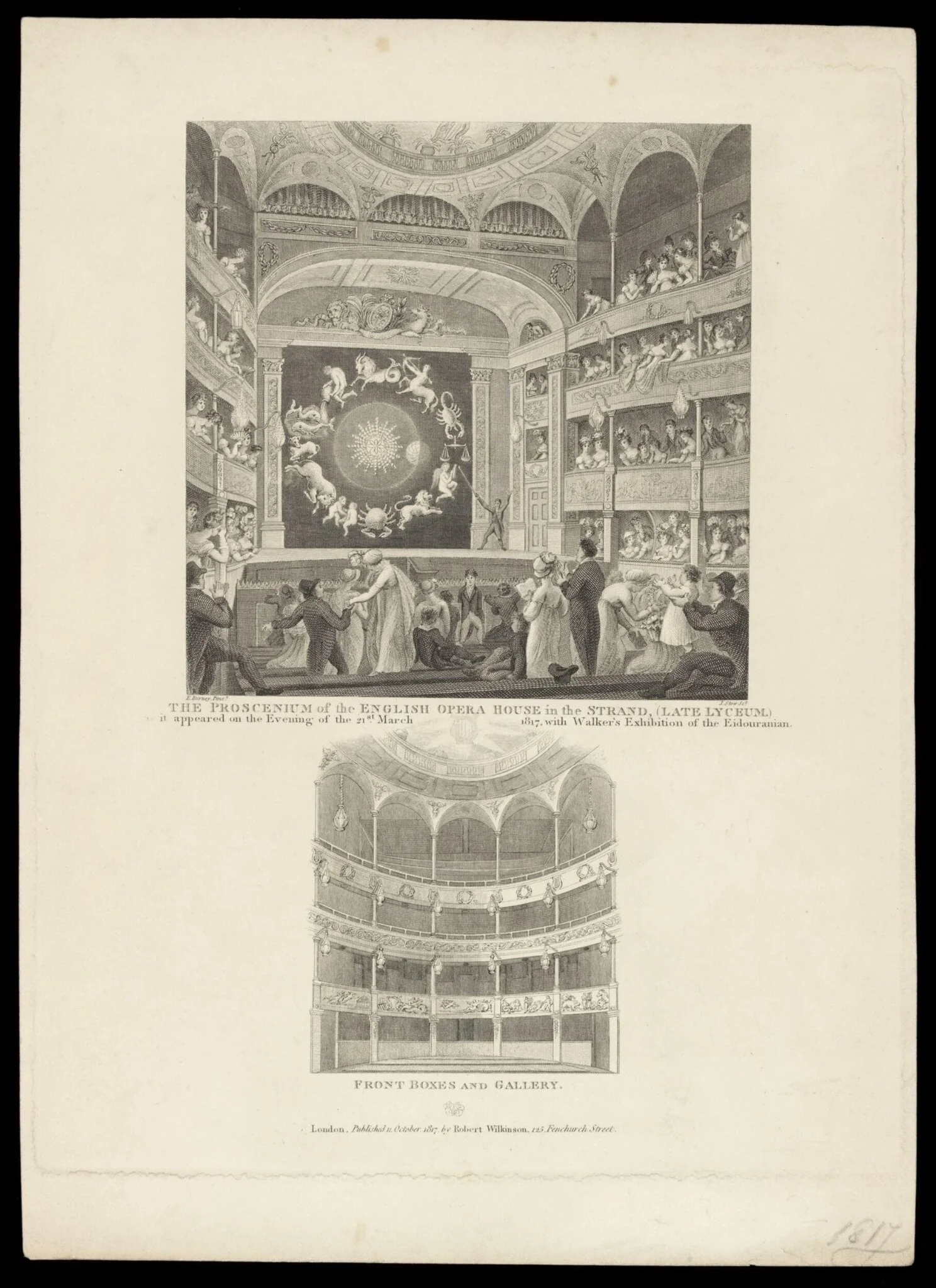 H Beard Print Collection