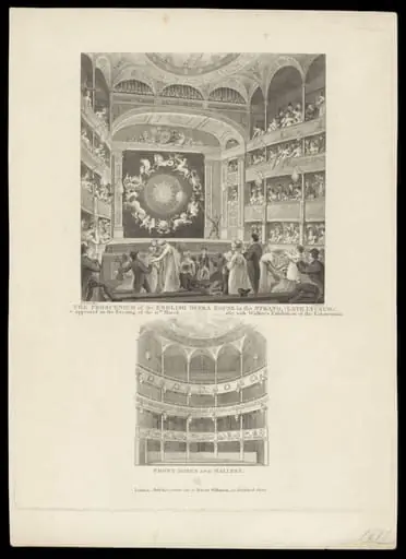H Beard Print Collection