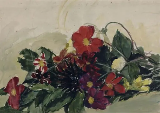 Single Dahlias