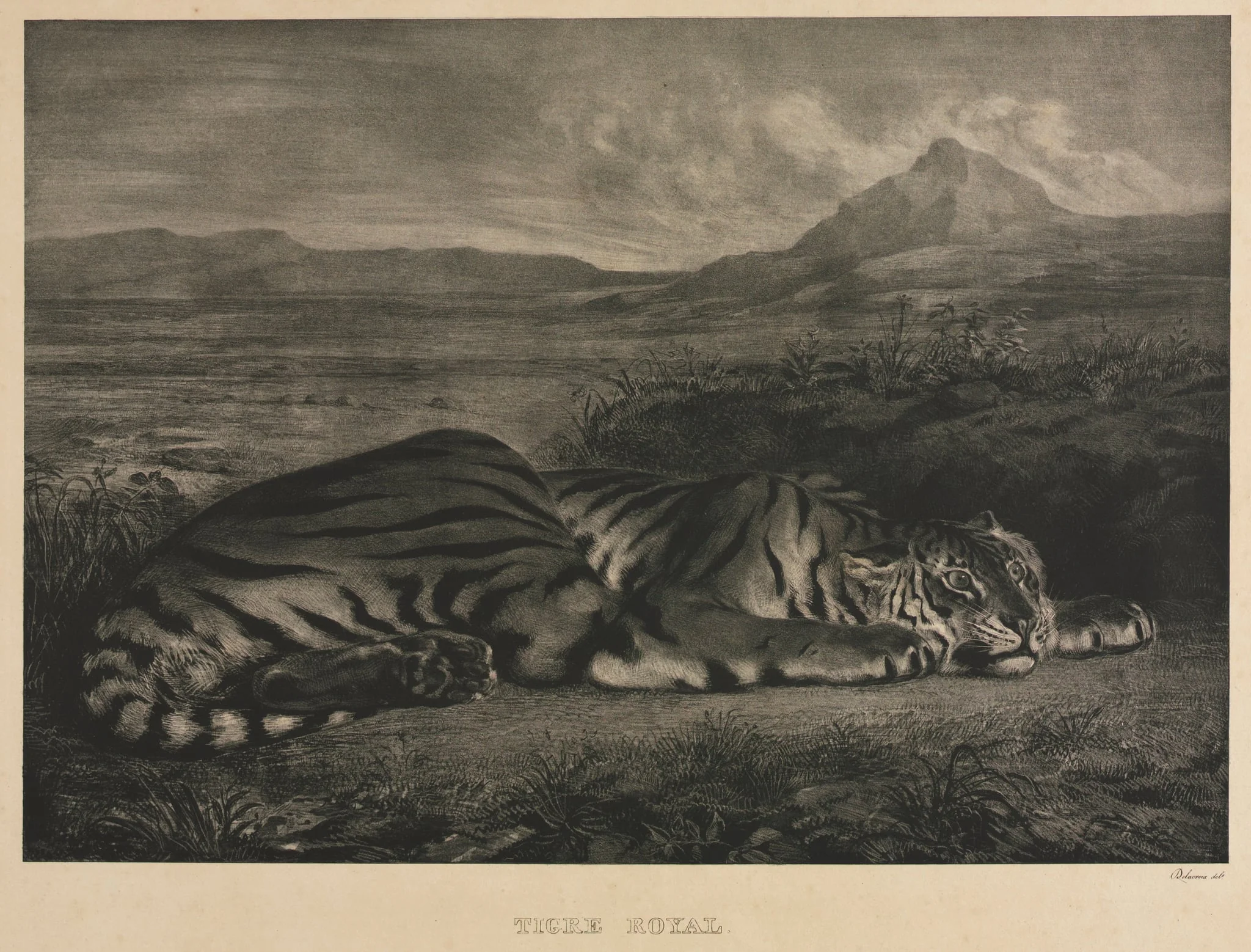 Tigre Royal, by Eugène Delacroix, 1829