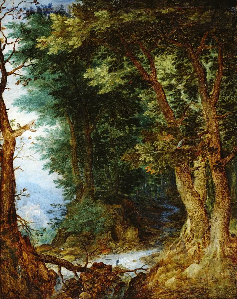 Forest landscape