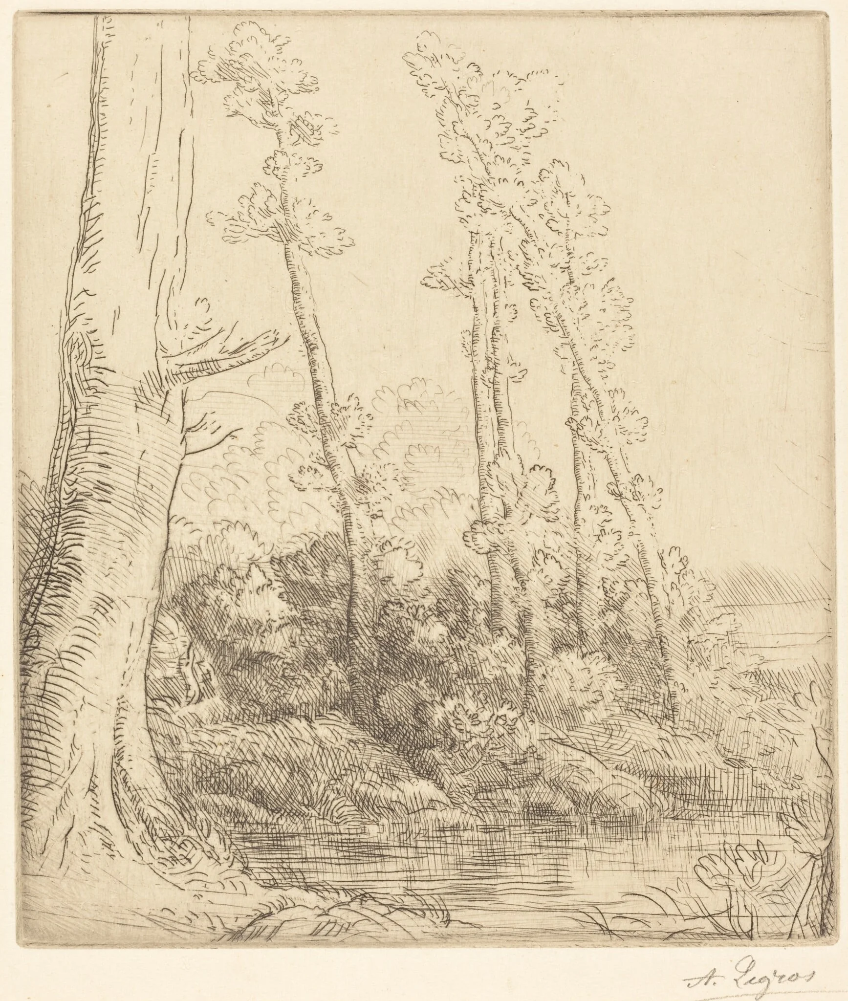Little Pond (La petite mare)