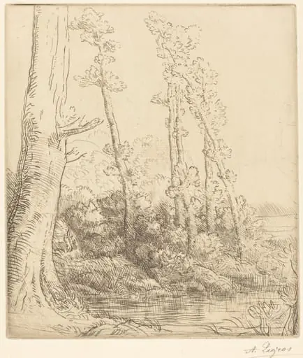 Little Pond (La petite mare)
