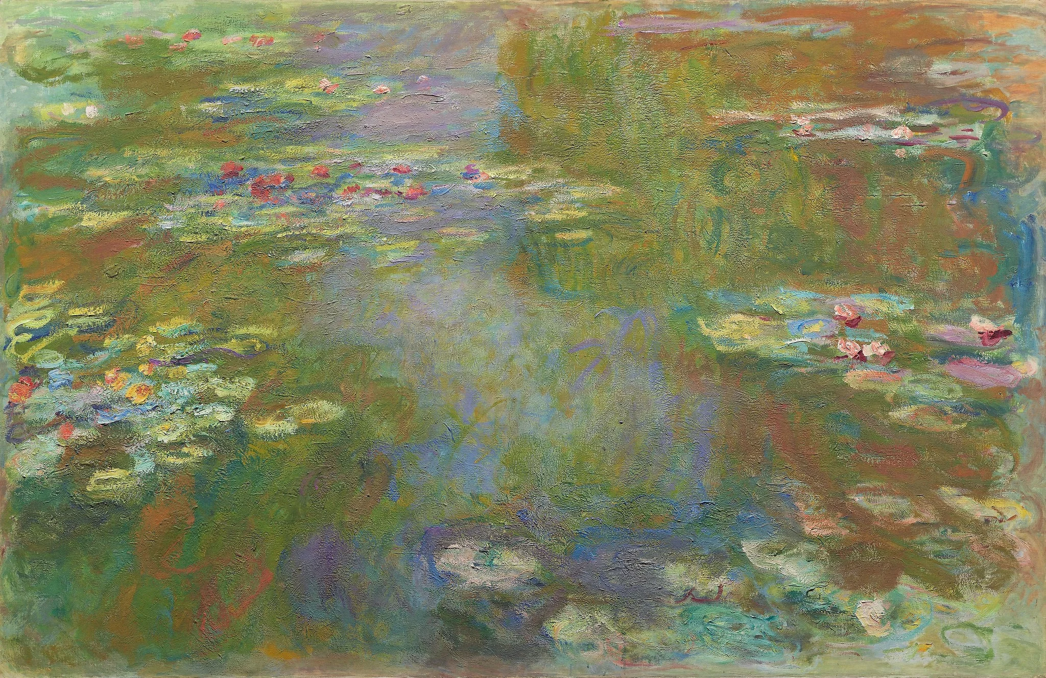 Water Lily Pond