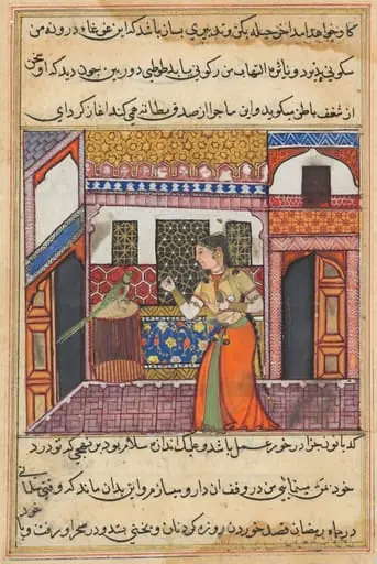 The parrot addresses Khujasta at the beginning of the forty-third night, from a Tuti-nama (Tales of a Parrot)