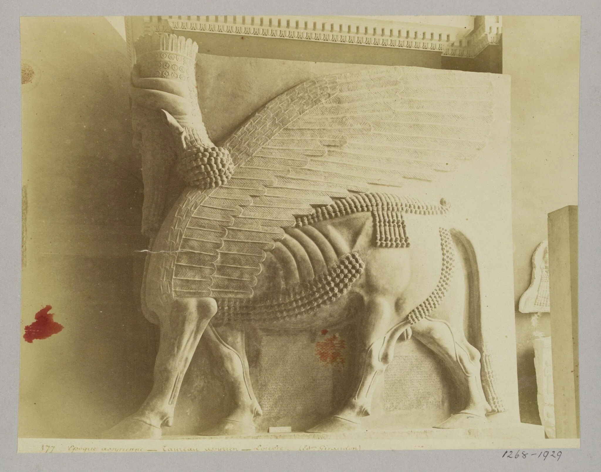 Winged bull from Khorsabad (Sargon, 722-705 B.C.). Paris: Louvre