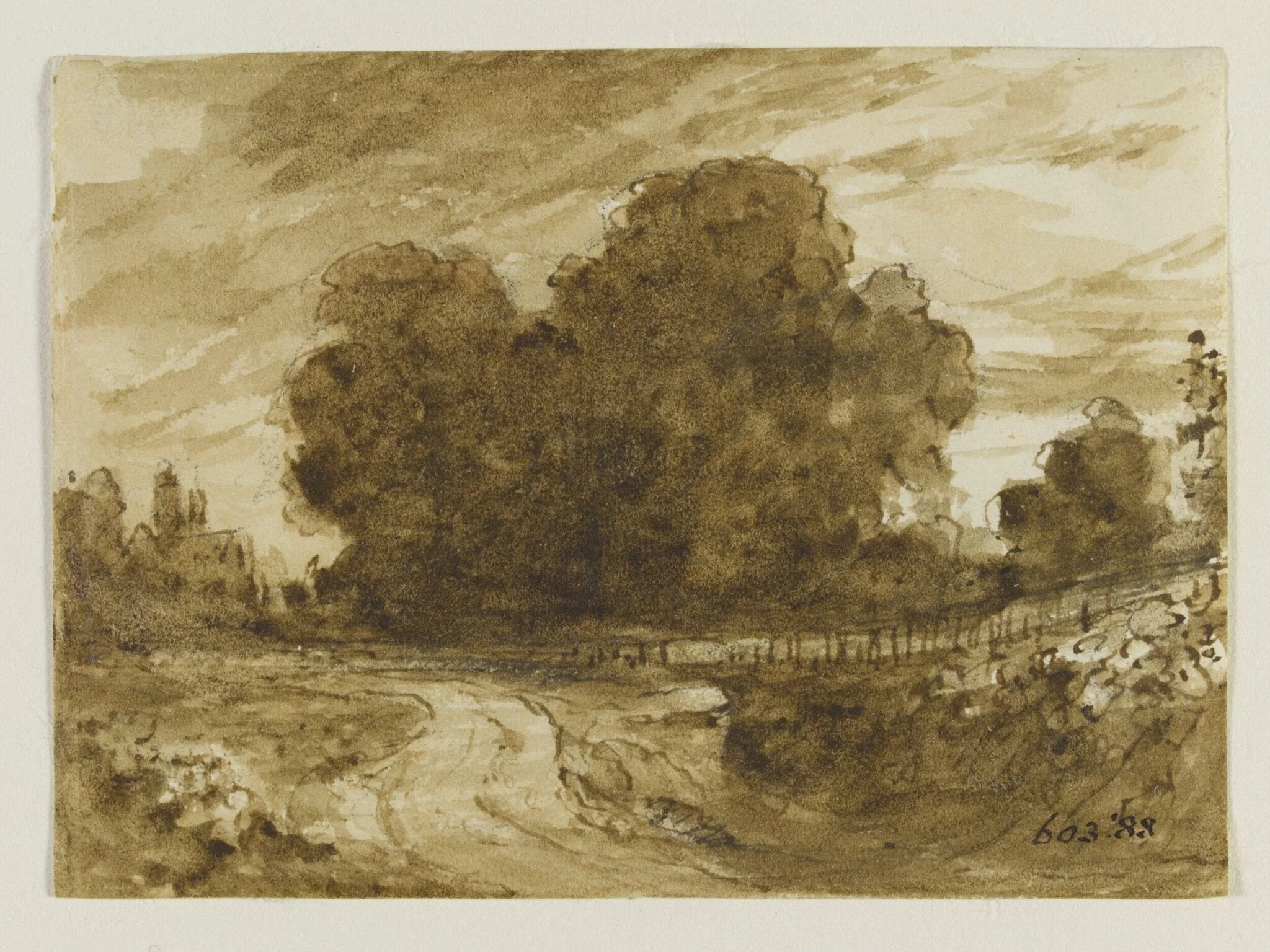 A country road with elm trees