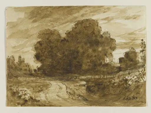 A country road with elm trees