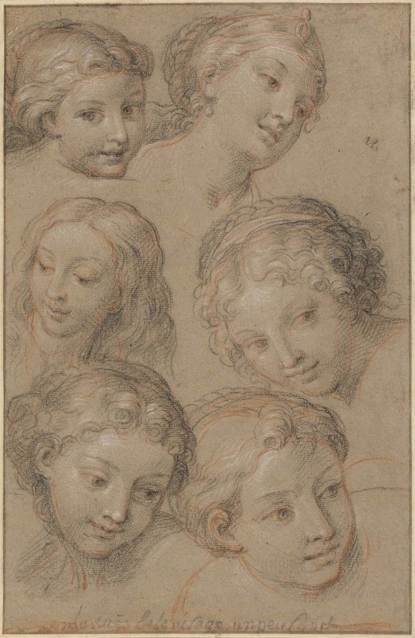 Studies of Women's Heads, by Michel Corneille, chalk, 1690