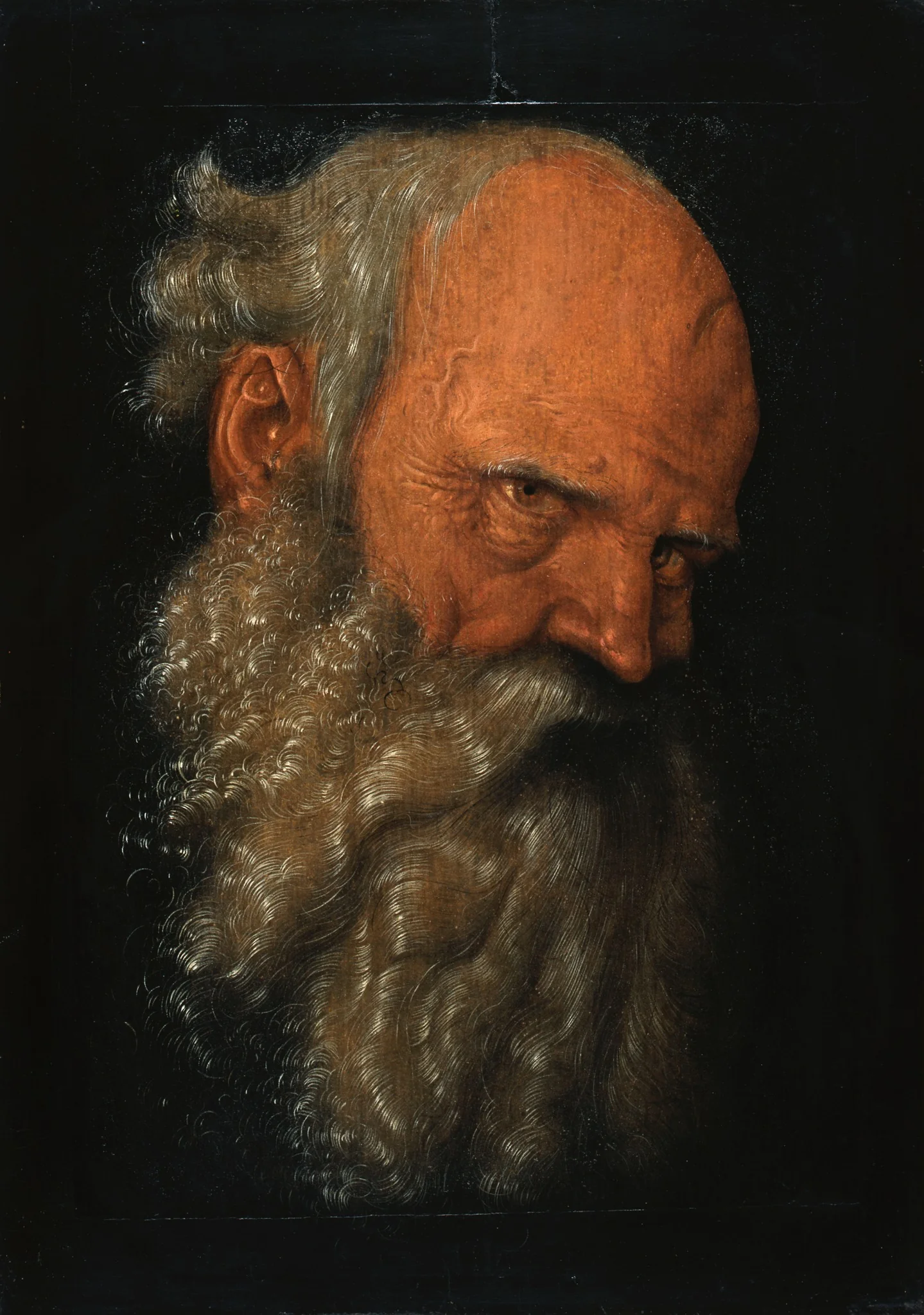 Head of a Bearded Old Man