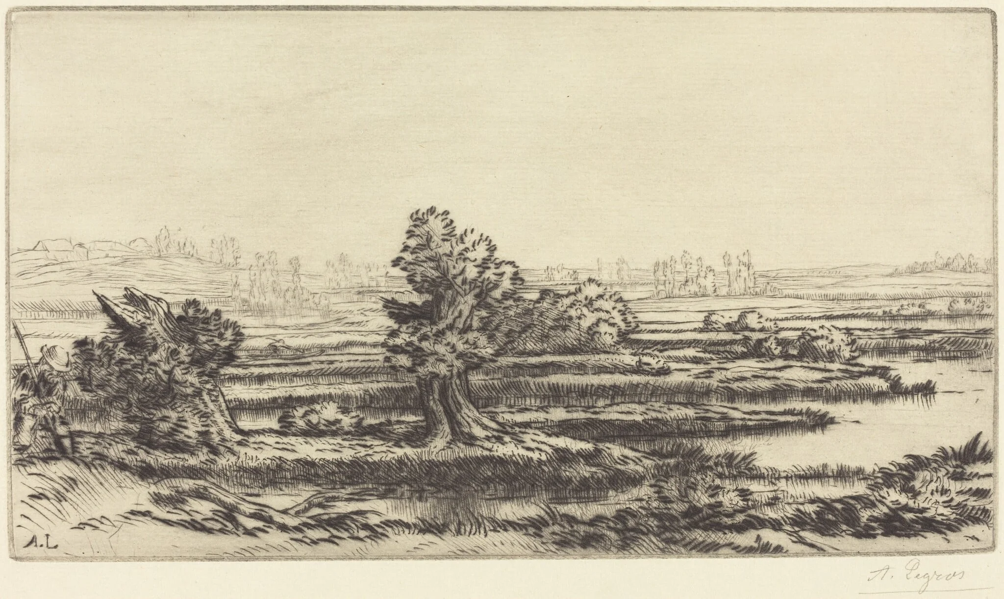 Peat-bogs (Les Tourbieres)