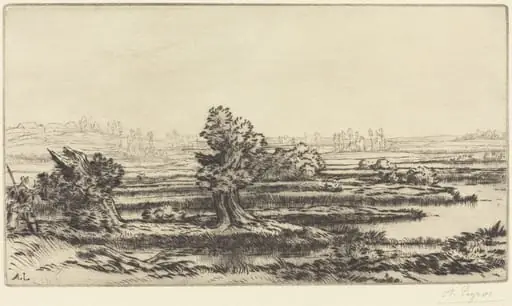 Peat-bogs (Les Tourbieres)