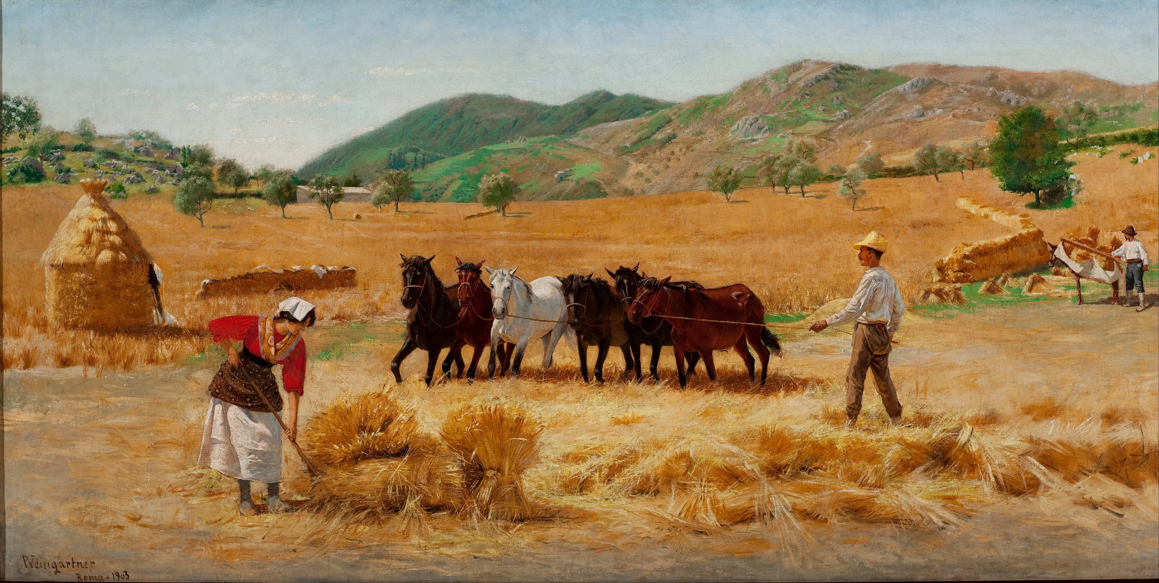 Harvest in Anticoli