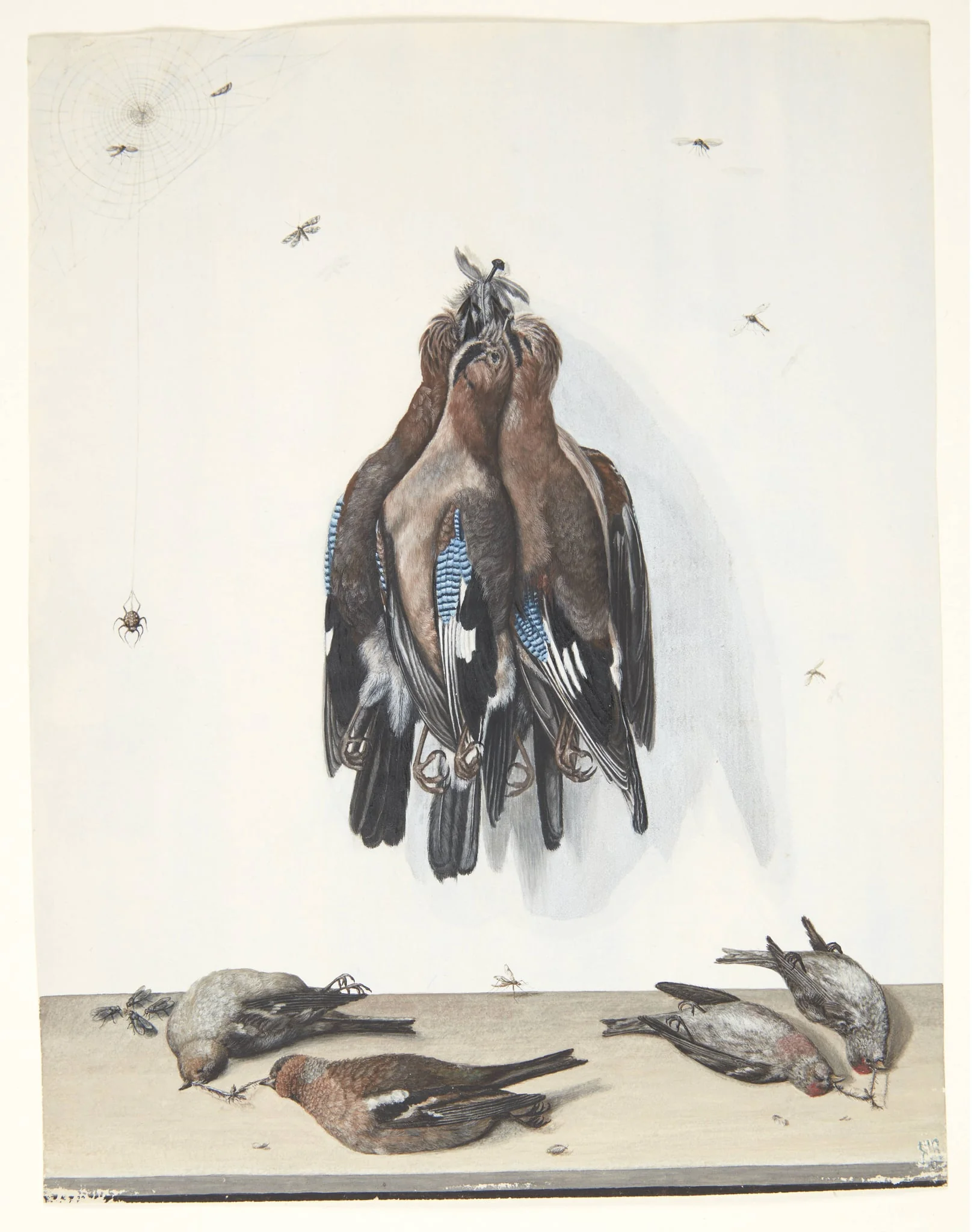Stilleben med fugle, by Unknown, unspecified, 1750