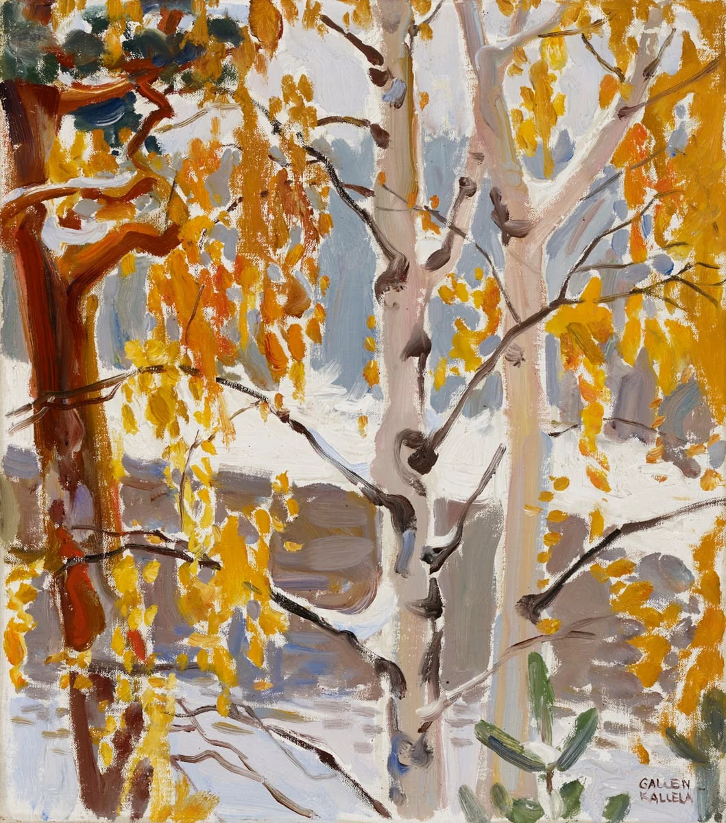 Ensi lumi, by Akseli Gallen-Kallela, unspecified